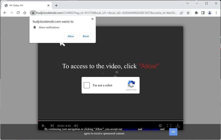 How to Remove Koobinobi.com Pop-up Ads (Virus Removal Guide) 1 Image: Chrome browser is redirected to Koobinobi.com