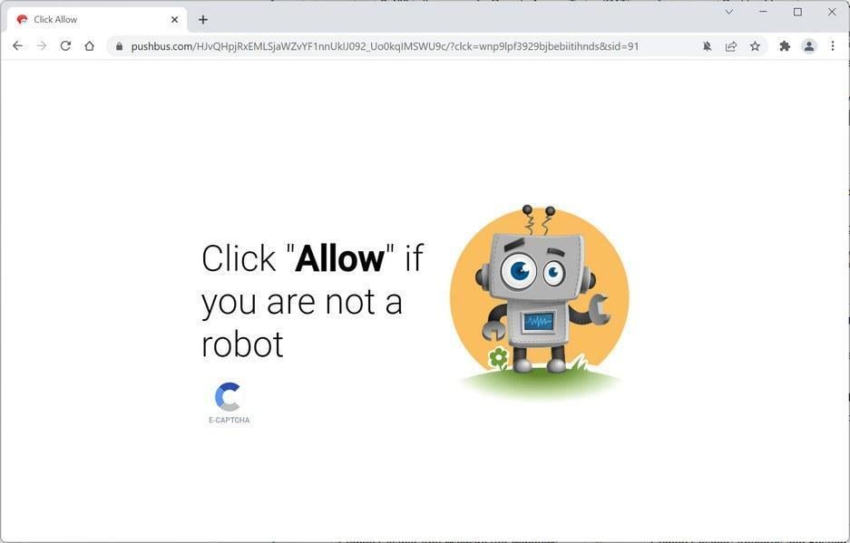 Image: Chrome browser is redirected to Pushbus.com