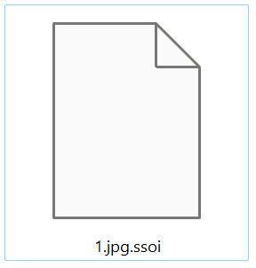 Image: SSOI Ransomware Encrypted Files