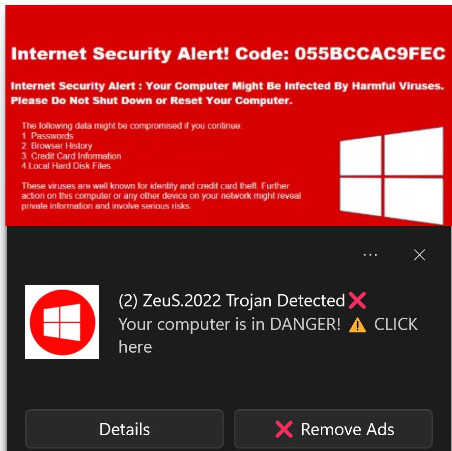 Image: Zeus.2022 Trojan Detected Scam