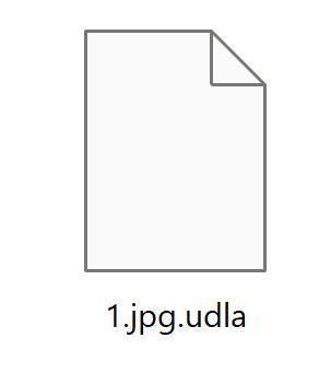 Image: UDLA Ransomware Encrypted Files