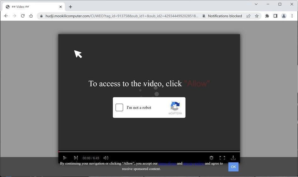 Image: Chrome browser is redirected to Mookilicomputer.com