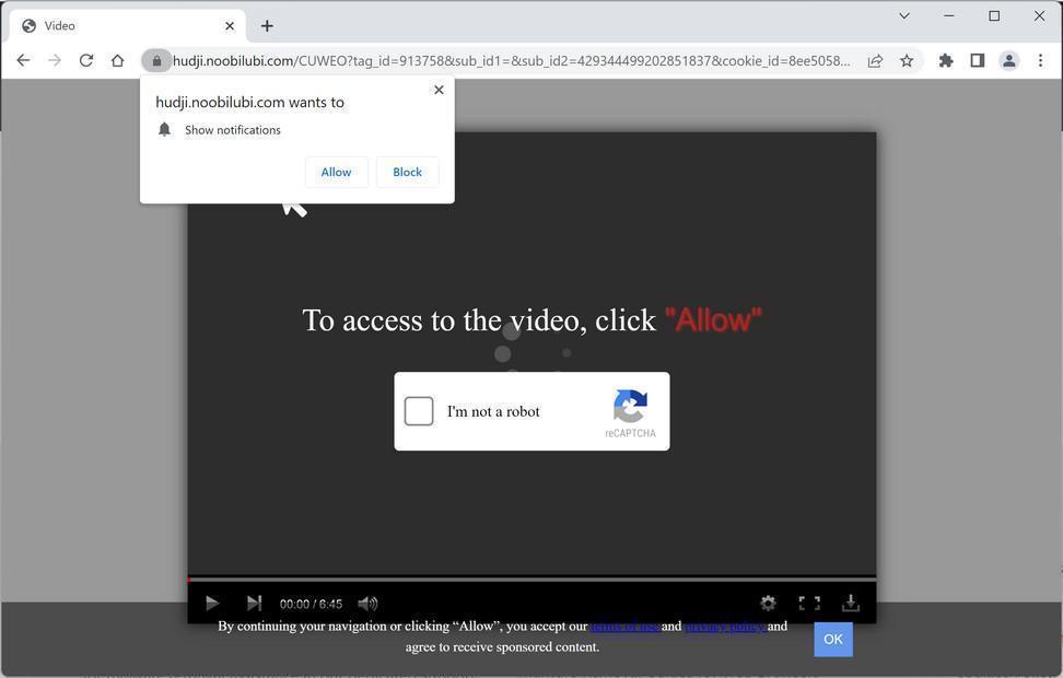 Image: Chrome browser is redirected to Noobilubi.com