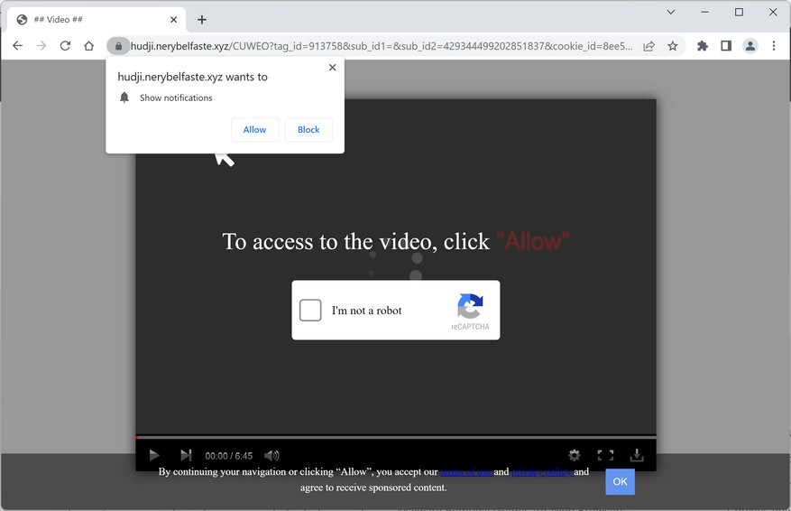 Image: Chrome browser is redirected to Nerybelfaste.xyz