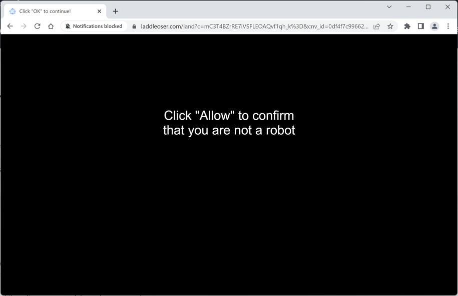 Image: Chrome browser is redirected to Laddleoser.com