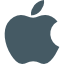apple icon article