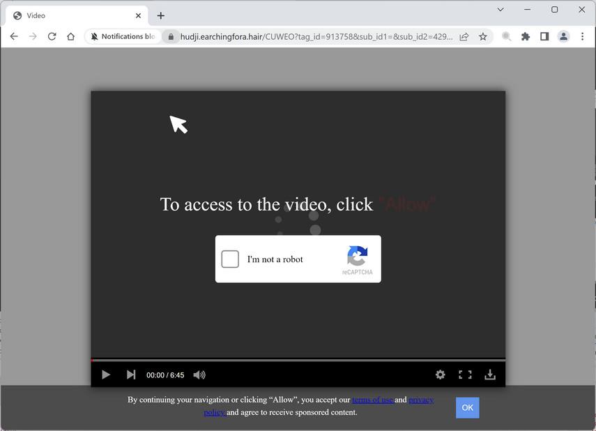 Image: Earchingfora.hair Ads