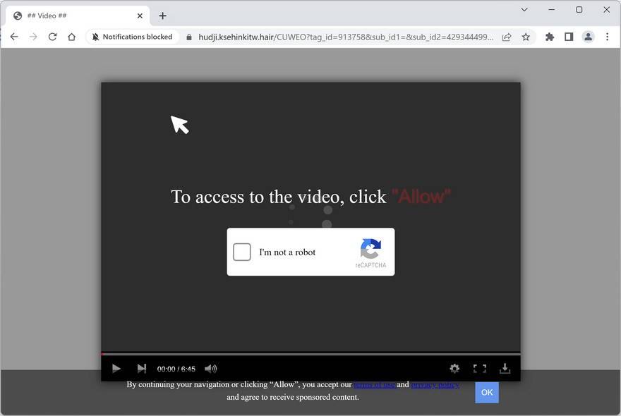 Image: Ksehinkitw.hair Ads