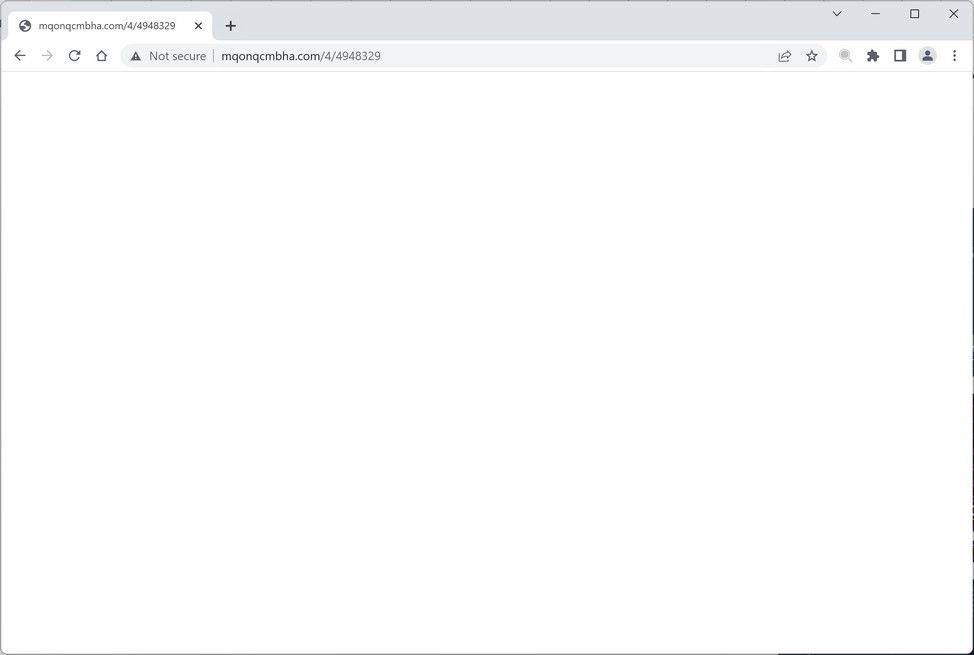 Image: Mqonqcmbha.com Ads