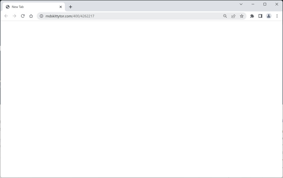 Image: Chrome browser is redirected to Rndskittytor.com