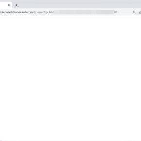 Image: CoolADSBlockSearch Search