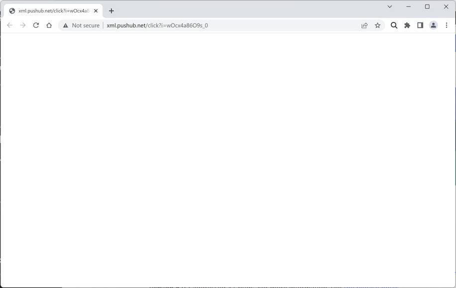 Image: Chrome browser is redirected to Xml.pushub.net