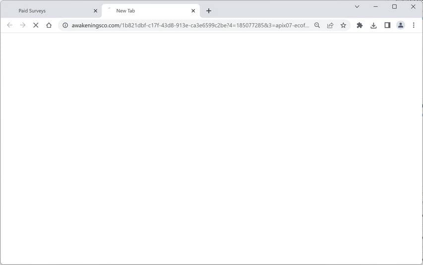 Image: Chrome browser is redirected to Awakeningsco.com