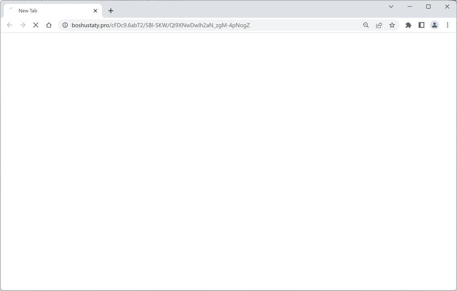 Image: Chrome browser is redirected to Boshustaty.pro