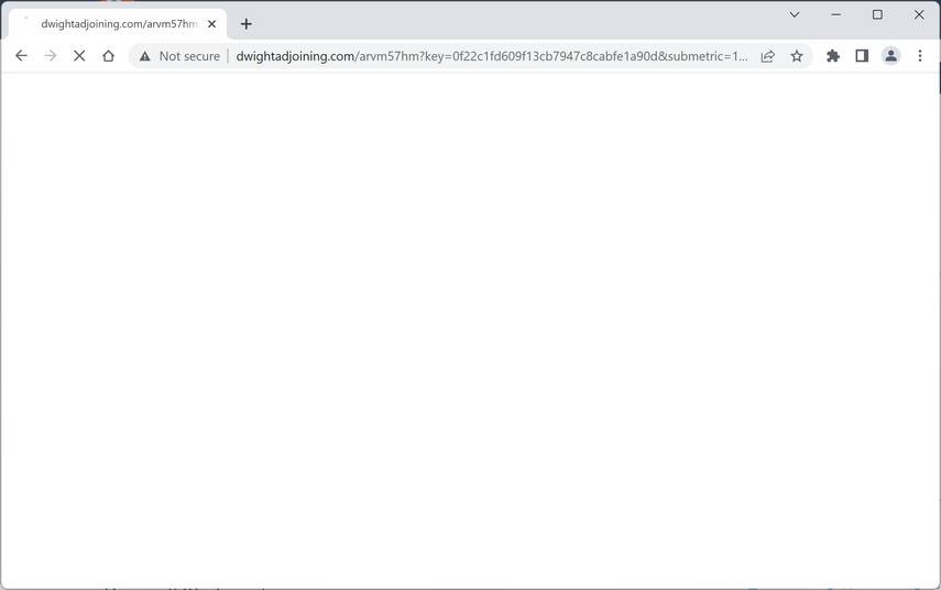 Image: Chrome browser is redirected to Dwightadjoining.com