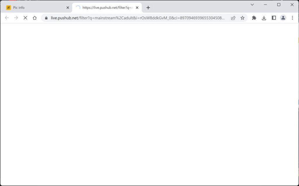 Image: Chrome browser is redirected to Live.pushub.net