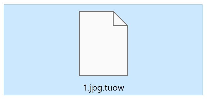 Image: File encrypted with the TUOW extension