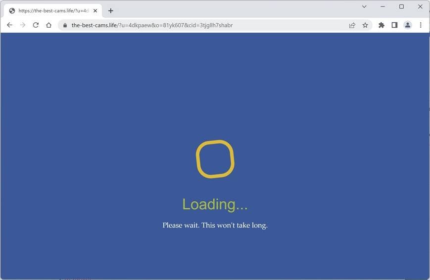 Image: The-best-cams.life Ads