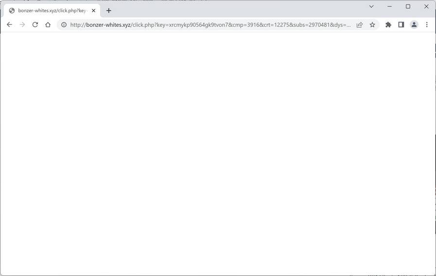 Image: Bonzer-whites.xyz Ads