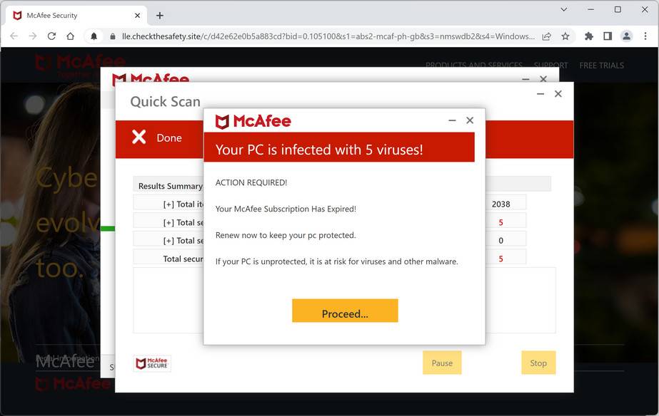 Image: Checkthesafety.site Fake McAfee Virus Alert