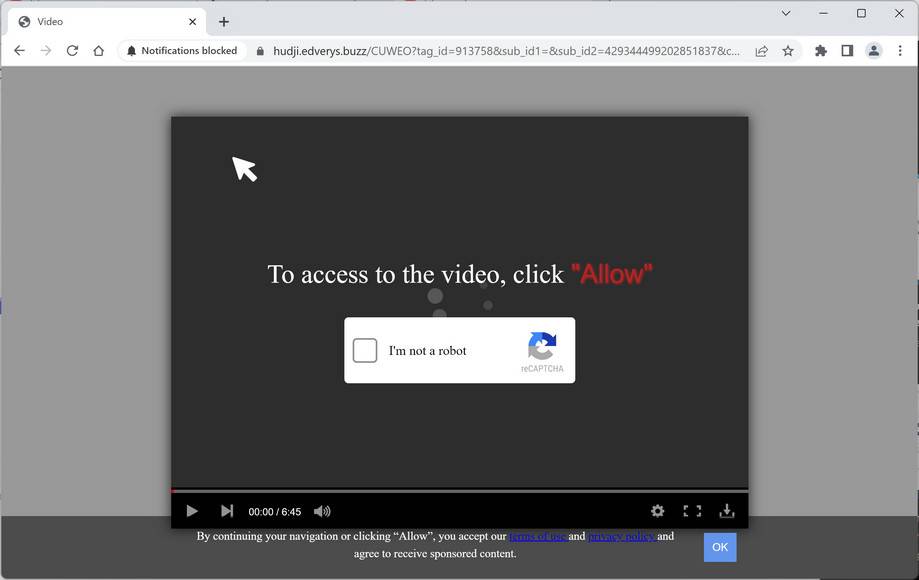 Image: Edverys.buzz Ads