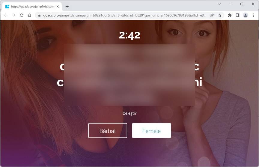 Image: Goads.pro Ads