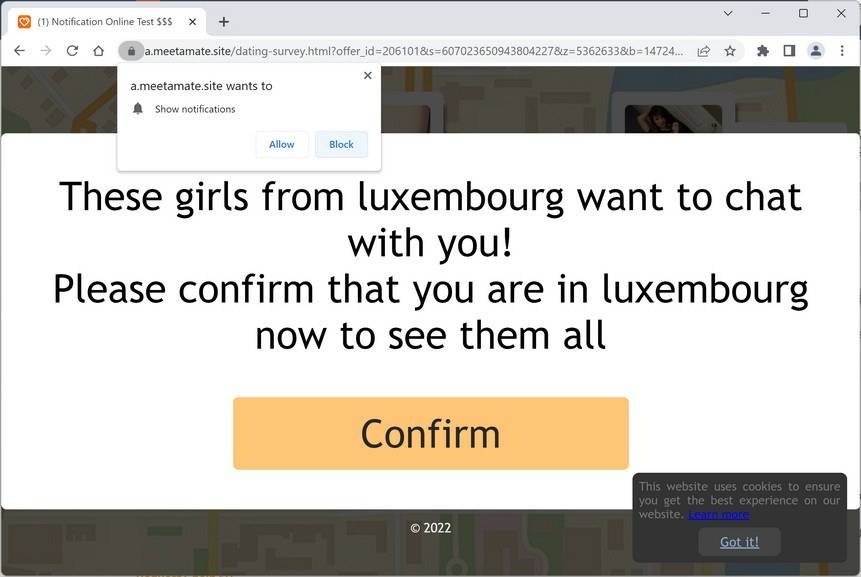 Image: Meetamate.site Ads