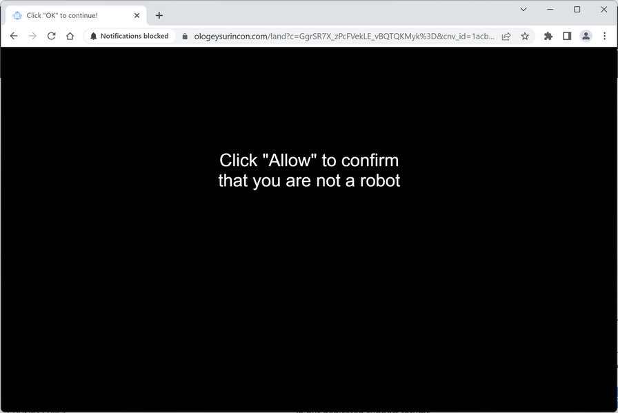 Image: Ologeysurincon.com Ads