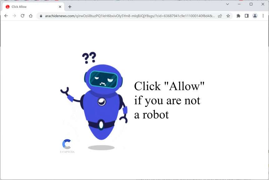 Image: Arachidenews.com Ads