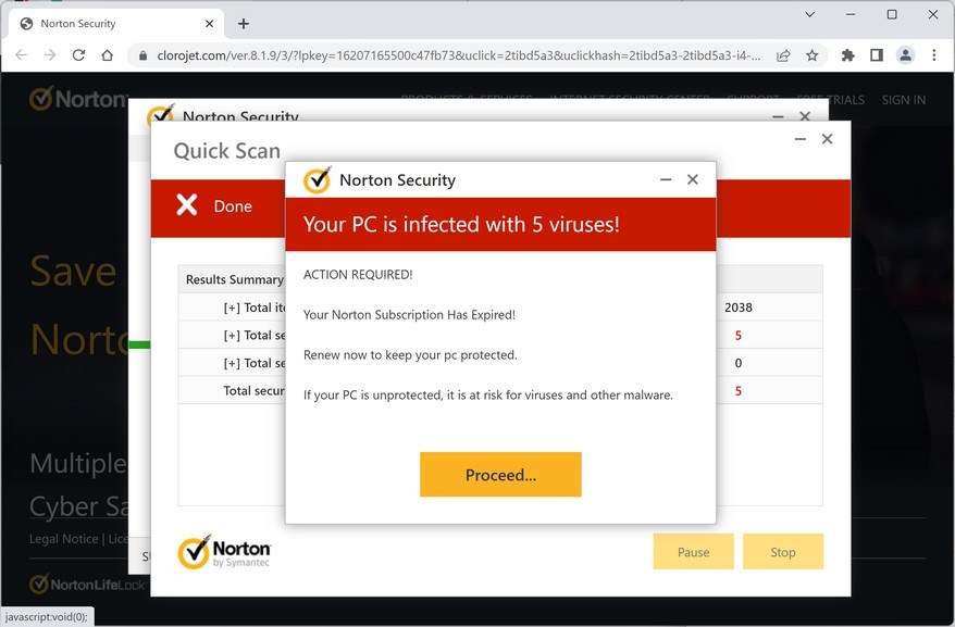 Image: Clorojet.com Fake McAfee Virus Alert