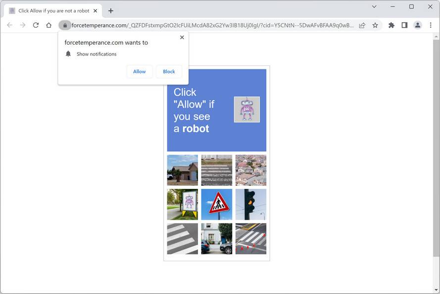 Image: Forcetemperance.com Ads