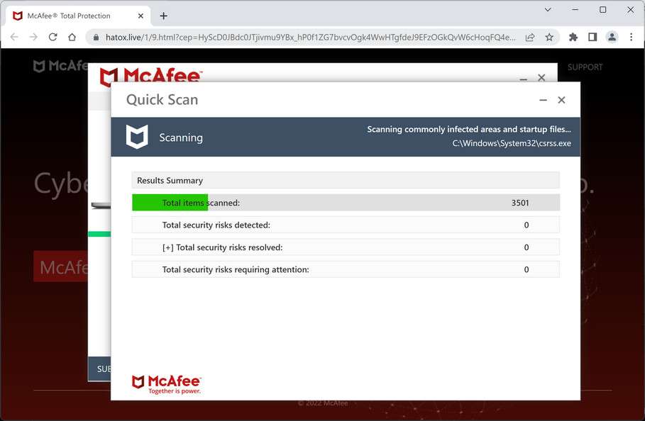 Image: Hatox.live Fake McAfee Virus Alert