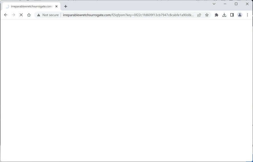 Image: Irreparablewretchsurrogate.com Ads