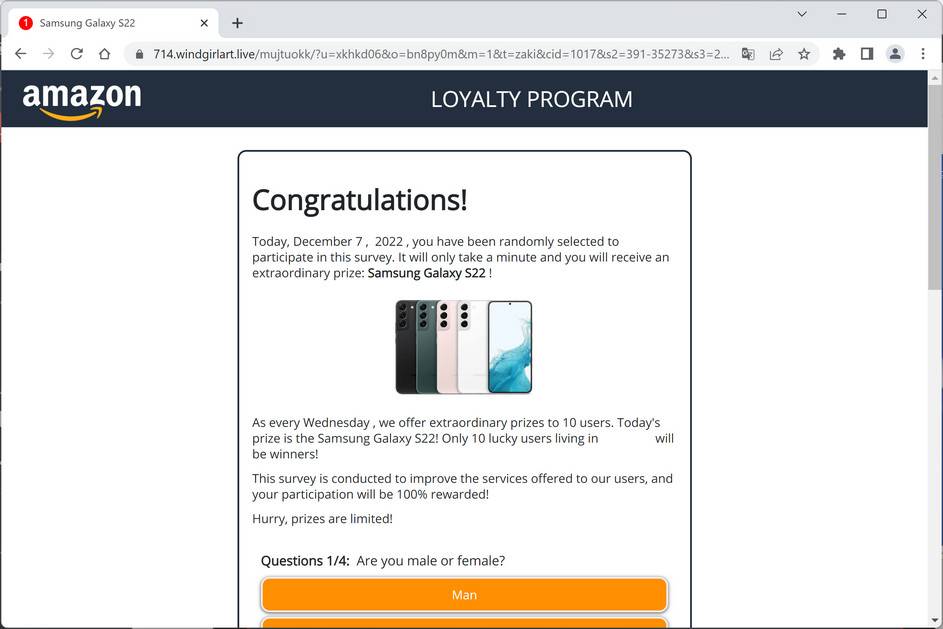 Image: Windgirlart.live Fake Amazon Loyalty Program Survey