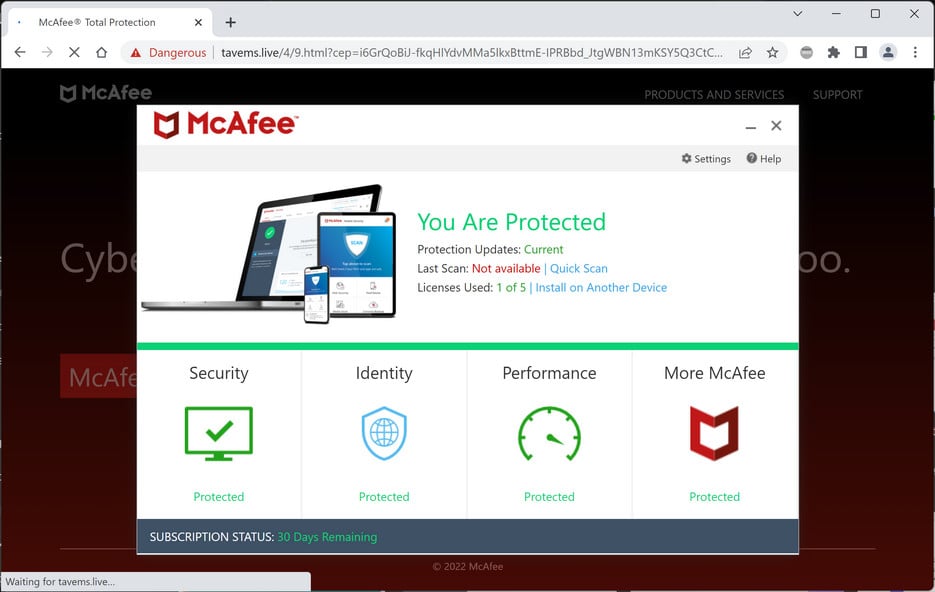 Image: Tavems.live Fake McAfee Virus Alert