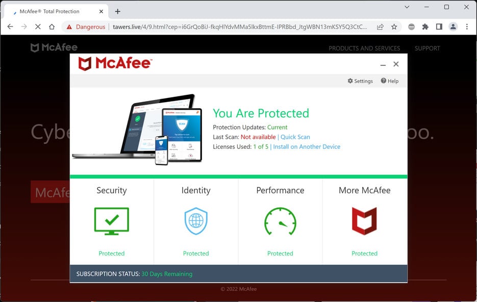 Image: Tawers.live Fake McAfee Virus Alert