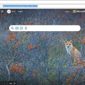 Image: FireFly Browser