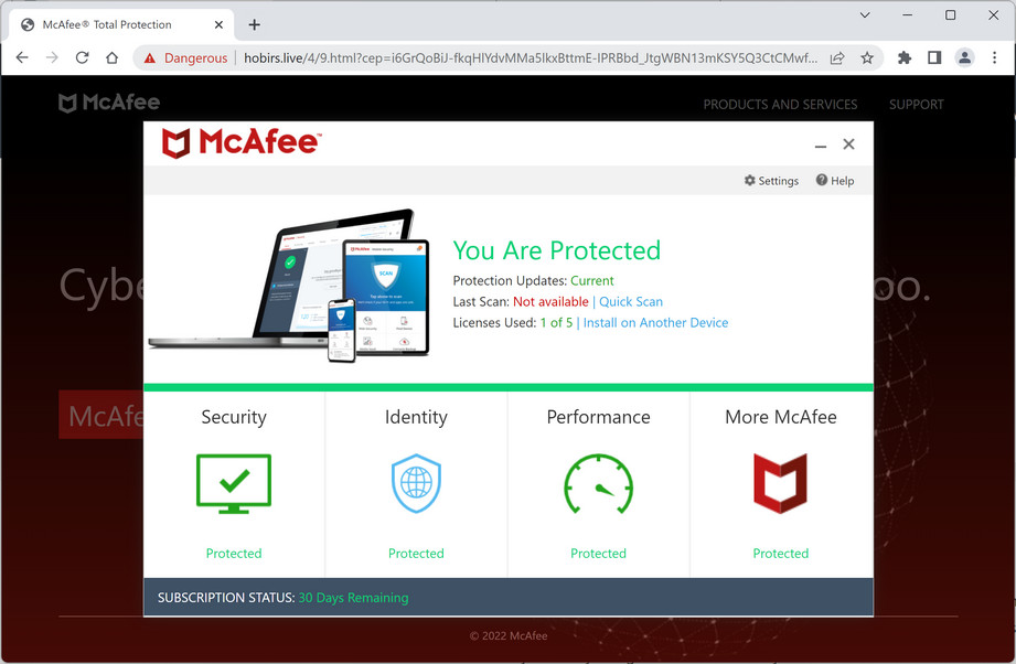 Image: Hobirs.live Fake McAfee Virus Alert