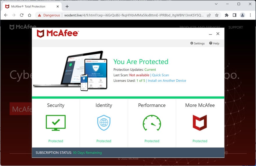 Image: Wodent.live Fake McAfee Virus Alert