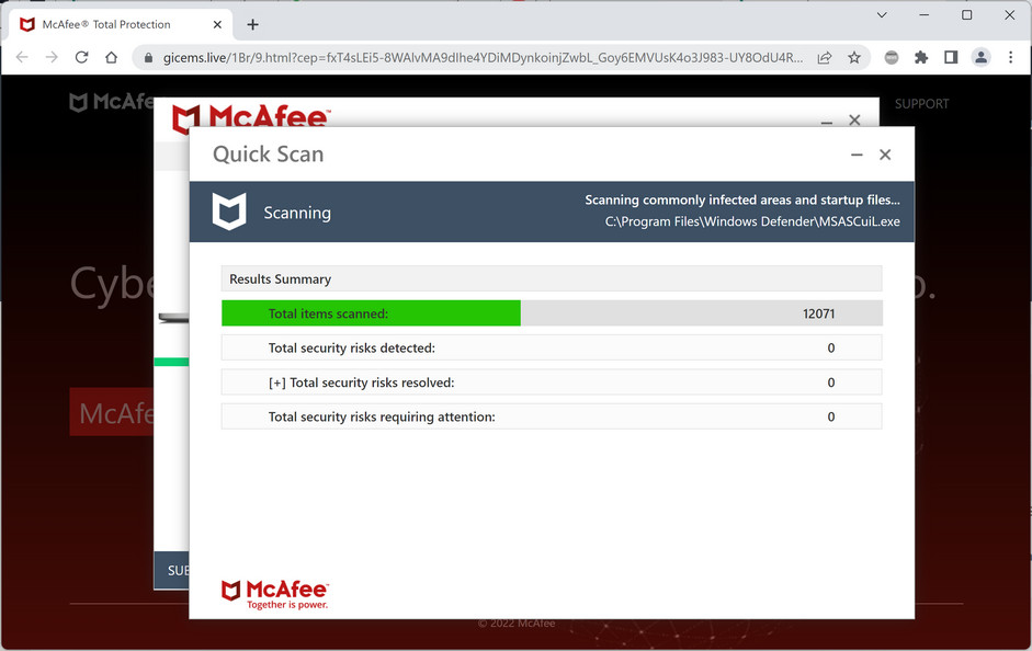 Image: Gicems.live Fake McAfee Virus Alert