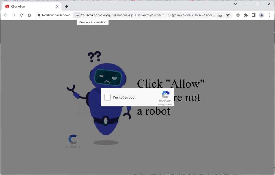 Image: Topadvshop.com Ads