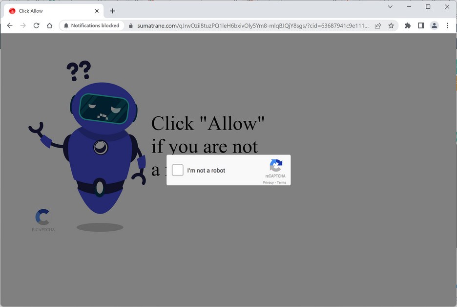 Image: Sumatrane.com Ads