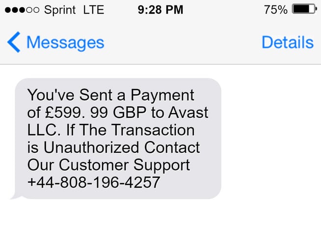 Avast LLC PayPal Invoice