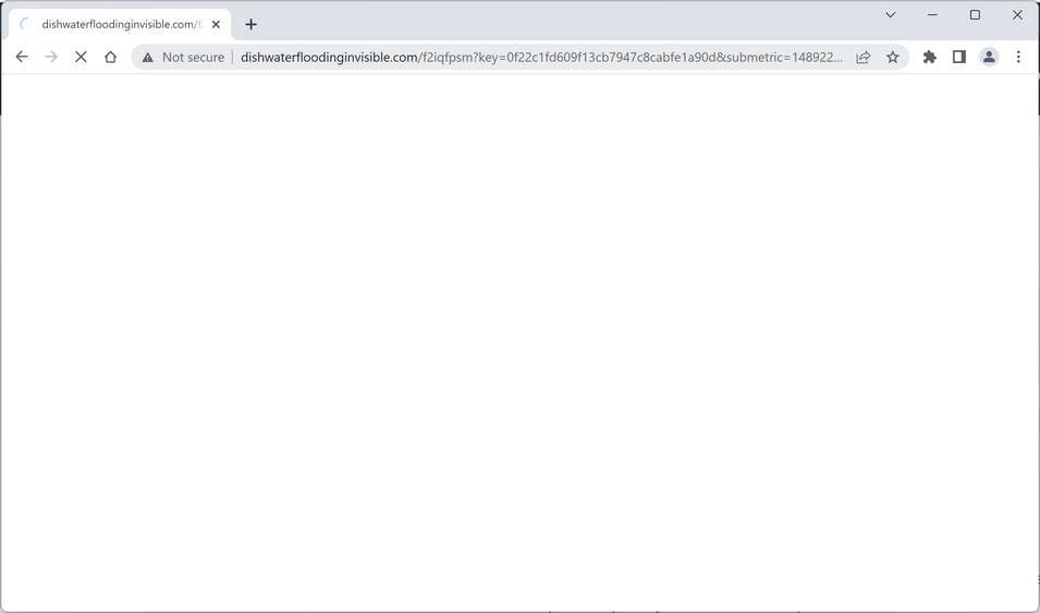 Image: Chrome browser is redirected to the Dishwaterfloodinginvisible.com site