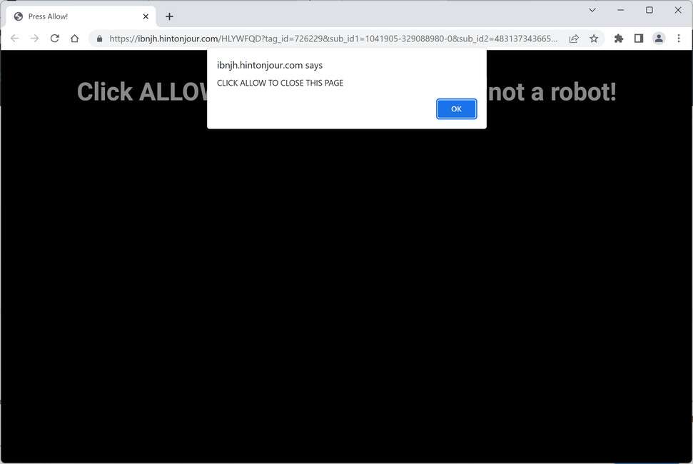 Image: Hintonjour.com Ads