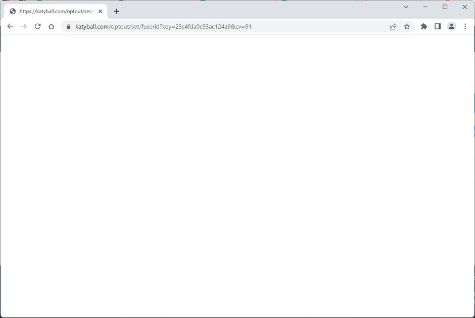 Image: Chrome browser is redirected to Katyball.com