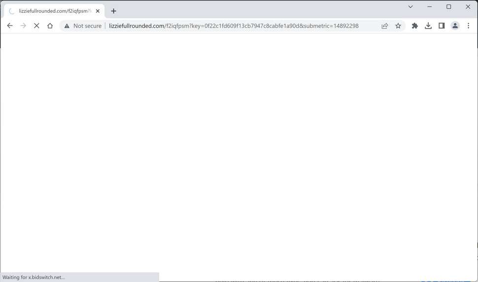 Image: Chrome browser is redirected to the Lizziefullrounded.com site