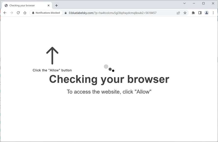 Image: Bluelabelsky.com Ads