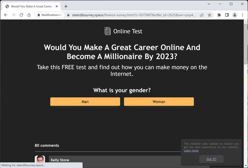 Image: Steerdibsurvey.space Survey Scam