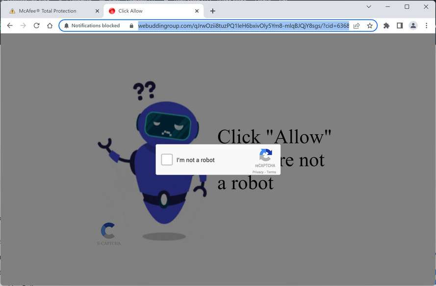 Image: Webuddingroup.com Ads